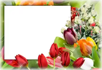 PhotoEffect da categoria Molduras para fotografias femininas № 94794 PhotoEffect da categoria Molduras para fotografias femininas № 94794