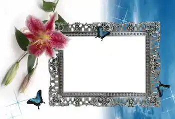 PhotoEffect da categoria Molduras para fotografias femininas № 94835 PhotoEffect da categoria Molduras para fotografias femininas № 94835