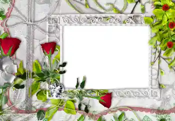 PhotoEffect da categoria Molduras para fotografias femininas № 96429 PhotoEffect da categoria Molduras para fotografias femininas № 96429
