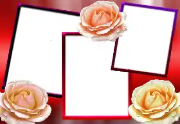 PhotoEffect da categoria Molduras para fotografias femininas № 9712 PhotoEffect da categoria Molduras para fotografias femininas № 9712