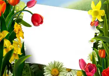 PhotoEffect da categoria Molduras para fotografias femininas № 9867 PhotoEffect da categoria Molduras para fotografias femininas № 9867