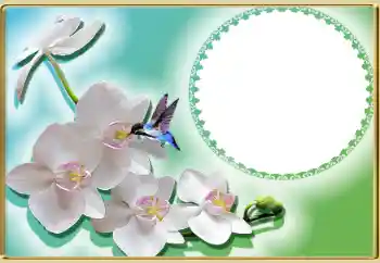 PhotoEffect da categoria Molduras para fotografias femininas № 99814 PhotoEffect da categoria Molduras para fotografias femininas № 99814